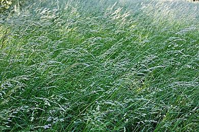 《失落迷城》“英灵的呼唤”DLC发售 国区定价45元